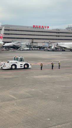 美しいの記事動画