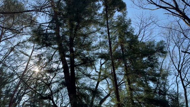 久しぶりの信夫山ウォーキング。の記事動画