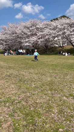 成長の記事動画