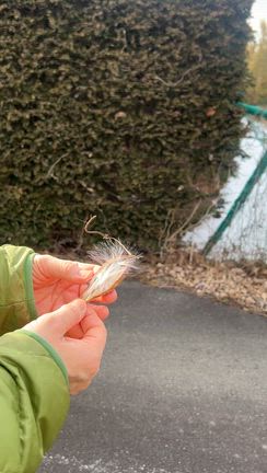 太郎さん⁉️の記事動画