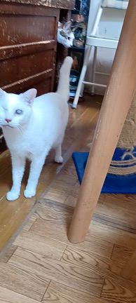 自己嫌悪の記事動画