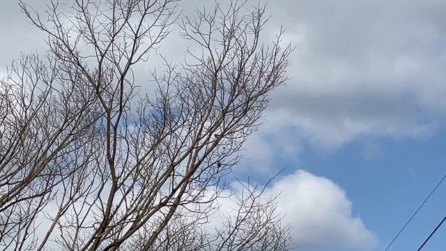 知らないうちにの記事動画