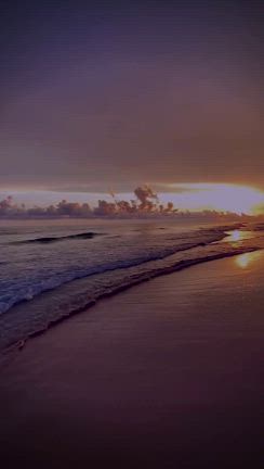 セブンポイント動画の記事動画