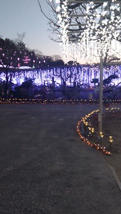 実は…！の記事動画