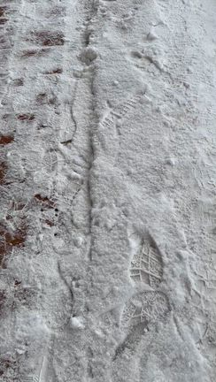 喫茶クレオパトラでアップルパイの記事動画