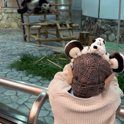 2024/11/06の記事動画