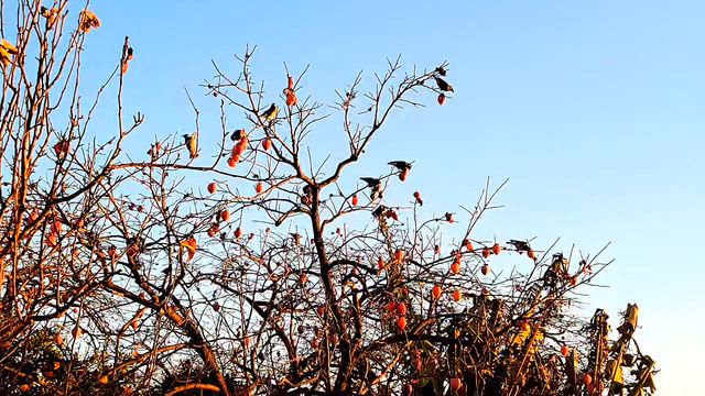 いかているということは71…の記事動画