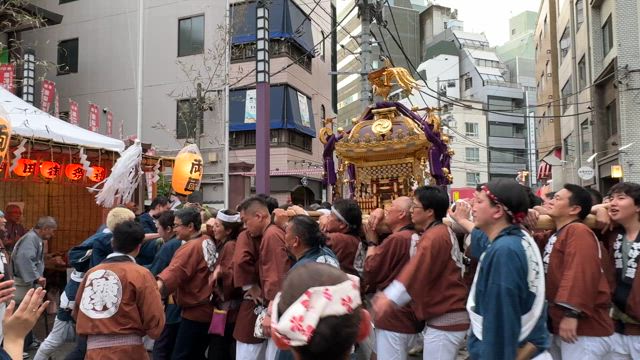 神田祭 やげん堀でお神輿担ぎました！の記事動画