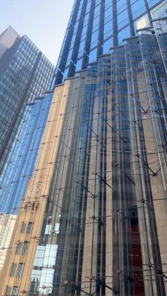 世界最先端炭酸ガス療法セミナーへの記事動画