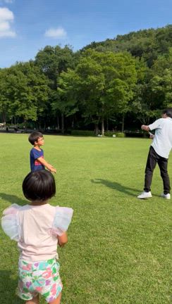 プロがつくった紙飛行機の記事動画