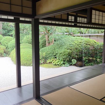 丈山苑 糸で紡ぐアート展「糸言糸心」四日目の記事動画