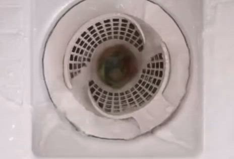 バタバタ近況と明日はクリスマスライブ！の記事動画