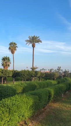 マラケシュのクトゥビアモスク@娘2人とモロッコ8日目の記事動画