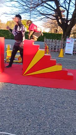 ☆２月のヨガレッスンスケジュール＆成田山新勝寺さまの参道散策、可愛いお猿さん達!!☆の記事動画