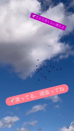 自然の厳しさと優しさに目をとめるの記事動画