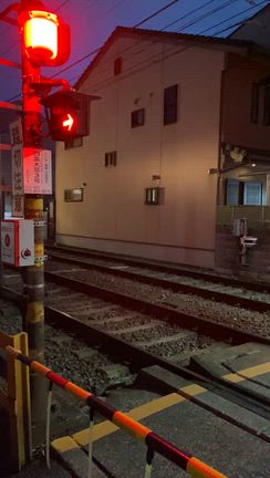 梛神社と壬生寺の節分会に行って来ました！の記事動画