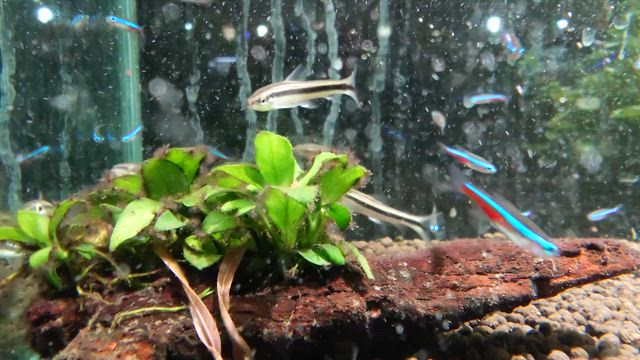 入荷情報!!!の記事動画