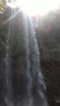 【新作】弥栄ッパーが産まれる迄の話☆の記事動画