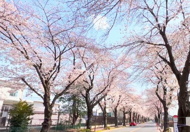 旦那様を囲む会をしてくれたお友達たちと…の記事動画