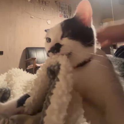 ミカンママさんのプロフィールページ