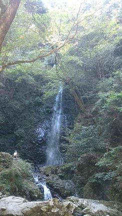 行きたかったとこ①の記事動画