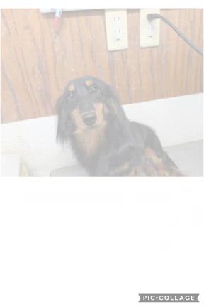 ☆*ﾟ ゜ﾟ*☆ラブくん☆*ﾟ ゜ﾟ*☆の記事動画