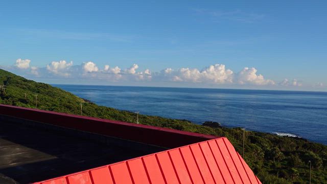 朝散歩の記事動画