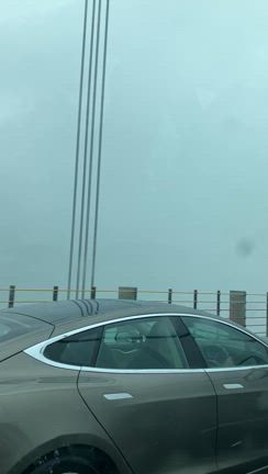 ドタバタでした。の記事動画