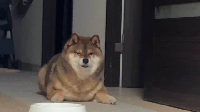 夜の一コマの記事動画