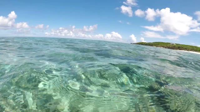 2025 夏休み②沖縄与論島4日目②ヨロヨロヨロンで色黒になりすぎたの記事動画