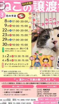 　お知らせばかりで…の記事動画