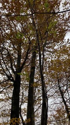 須賀倉山の記事動画