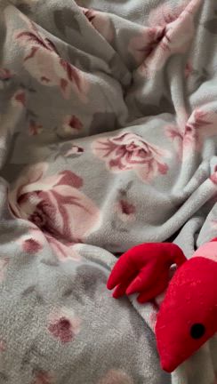 ボクは、ここに、いるよの記事動画