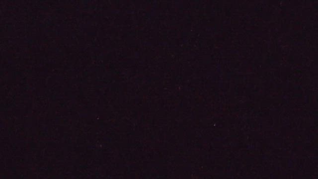 今日もいろいろの記事動画