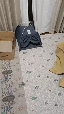 キュルルン‼️の記事動画