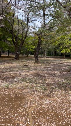 誘われてお出掛けの記事動画