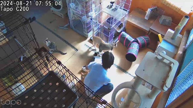 一体、どんな話なのやら？の記事動画