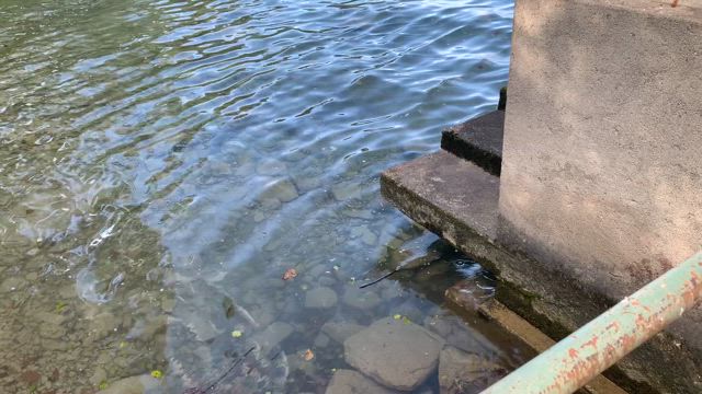 ラフマニノフの家「Villa Senar」(スイス)の行き方の記事動画