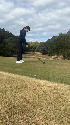 秘密基地の記事動画