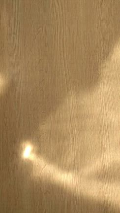 次は何を…？の記事動画