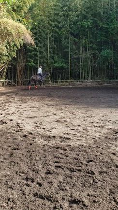 バンブーサ熊本から近い観光の記事動画