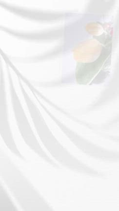 第22回SNS連花「色をひきつぐ」を振り返って | 斎藤 隆信 溝の口