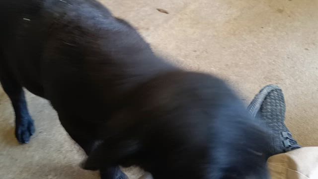 野良仕事の記事動画