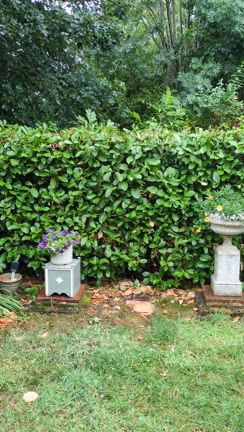 雨の音が聴こえる…の記事動画