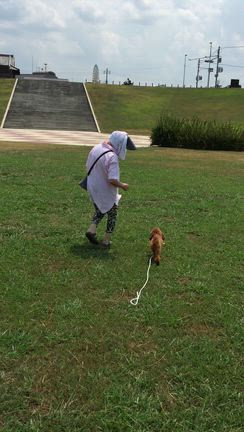 驚愕する90歳の母の姿の記事動画