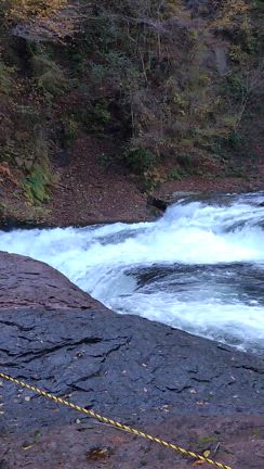美味しい日帰り旅行in群馬〜！の記事動画