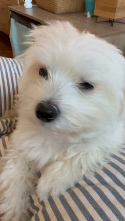 朝から失敗❄️の記事動画