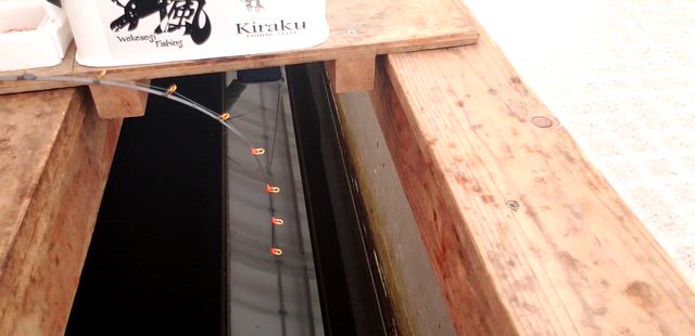 疾風2027モデル「疾風 X」正式発表!!の記事動画