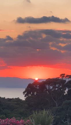 2026年 新年明けましておめでとうございますの記事動画