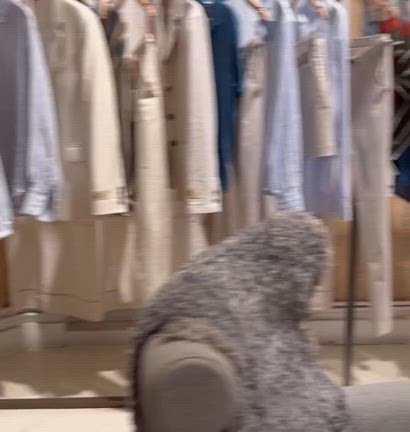 2024/06/18の記事動画